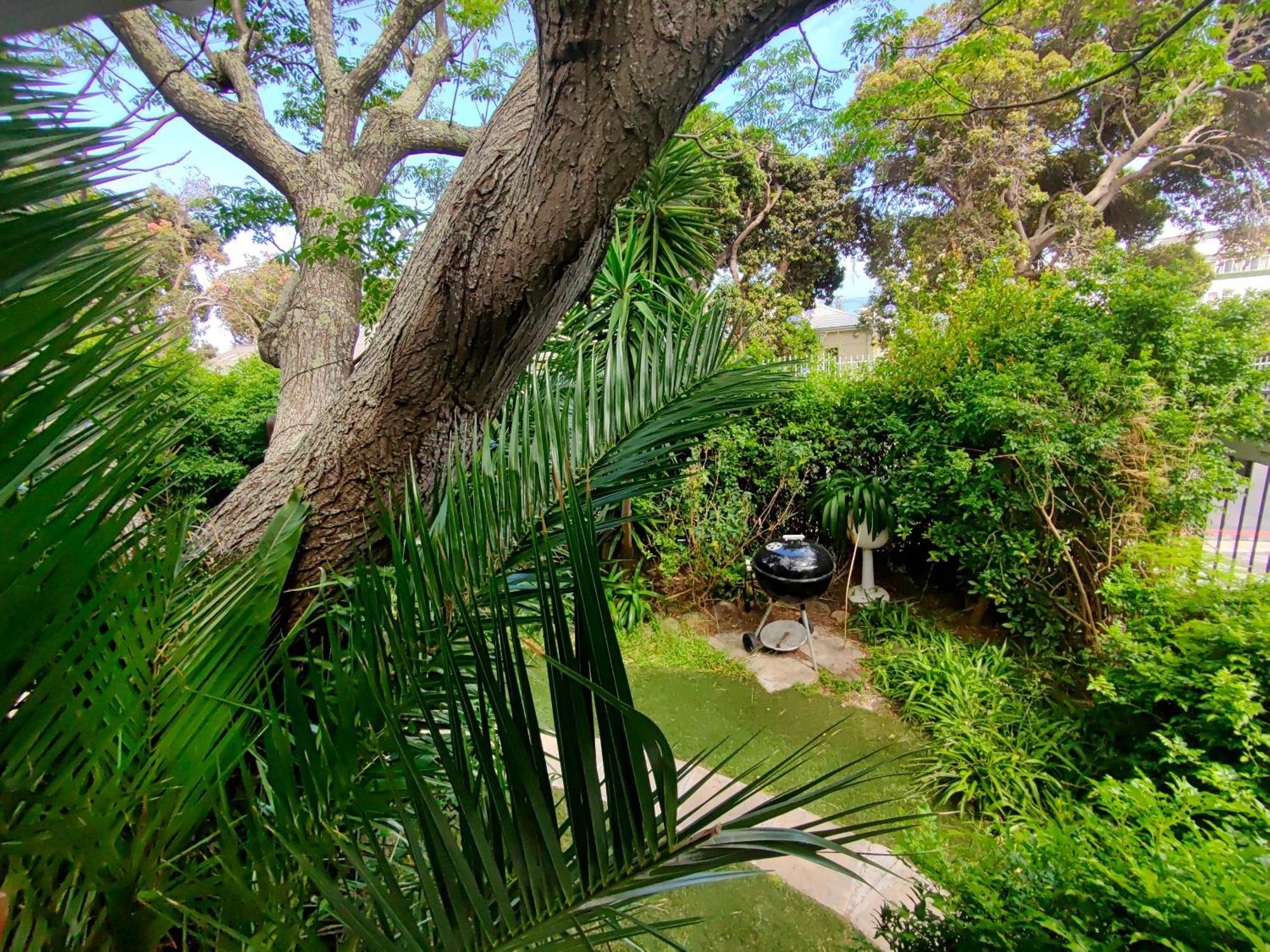 Swiss Cottage Guest House Cape Town Dış mekan fotoğraf
